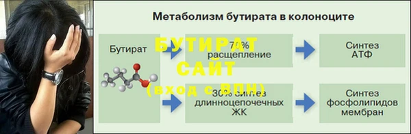 спиды Бородино