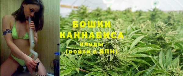 стаф Володарск