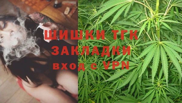 дмт Вяземский