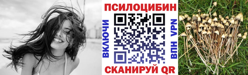 Псилоцибиновые грибы мицелий  Дудинка 